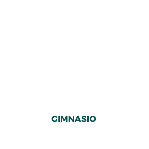 Bali - Gimnasio